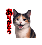 少しリアルな三毛猫の日常会話（個別スタンプ：2）