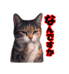 少しリアルな三毛猫の日常会話（個別スタンプ：3）