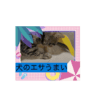 笑いのシャワーにゃん（個別スタンプ：3）