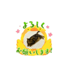 笑いのシャワーにゃん（個別スタンプ：7）