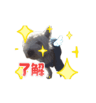 たーちゃん.chii（個別スタンプ：1）
