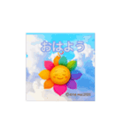 ほのぼの動く 花ぽよちゃんキラキラぷらす（個別スタンプ：1）