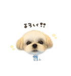 つむぎくん☆deformation（個別スタンプ：7）