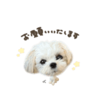 つむぎくん☆deformation（個別スタンプ：8）