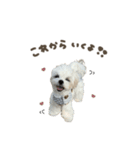 つむぎくん☆deformation（個別スタンプ：9）