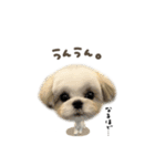 つむぎくん☆deformation（個別スタンプ：13）