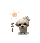 つむぎくん☆deformation（個別スタンプ：14）
