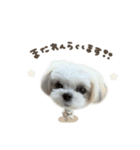 つむぎくん☆deformation（個別スタンプ：16）