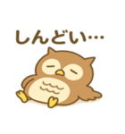 えぞふくろう（個別スタンプ：13）