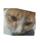 ぽっちゃおまり（個別スタンプ：2）