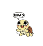 アキのカメ吉くん（個別スタンプ：11）