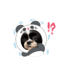 もぷちの動くスタンプ（個別スタンプ：2）