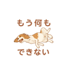キャバリアレオのスタンプ（個別スタンプ：2）