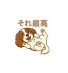 キャバリアレオのスタンプ（個別スタンプ：4）
