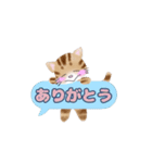 動く！我が家のニャンズ（個別スタンプ：4）