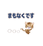 動く！我が家のニャンズ（個別スタンプ：12）