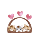 動く！我が家のニャンズ（個別スタンプ：13）