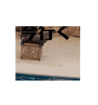 しかとあしか（個別スタンプ：2）