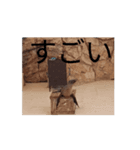 しかとあしか（個別スタンプ：6）