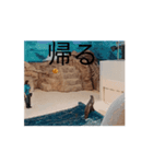 しかとあしか（個別スタンプ：8）