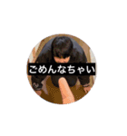 マロニーランドセルスタンプ3（個別スタンプ：3）