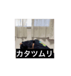 マロニーランドセルスタンプ3（個別スタンプ：10）