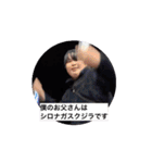 マロニーランドセルスタンプ3（個別スタンプ：12）