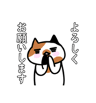 あびゃ猫大きい敬語スタンプ（個別スタンプ：12）