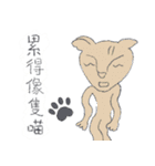 Guli  Cat III（個別スタンプ：28）
