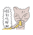 Guli  Cat III（個別スタンプ：30）