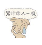 Guli  Cat III（個別スタンプ：33）