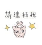 Guli  Cat III（個別スタンプ：39）