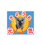 むさし師匠（個別スタンプ：4）
