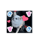 むさし師匠（個別スタンプ：6）