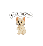 アクションk-gigi21（個別スタンプ：3）