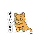 アクションk-gigi21（個別スタンプ：4）