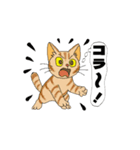アクションk-gigi21（個別スタンプ：5）