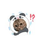 サバくんの日常3（個別スタンプ：4）