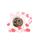 サバくんの日常3（個別スタンプ：5）