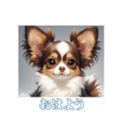 ペットの可愛いパピヨン（個別スタンプ：1）