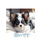 ペットの可愛いパピヨン（個別スタンプ：4）