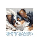 ペットの可愛いパピヨン（個別スタンプ：5）