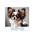 ペットの可愛いパピヨン（個別スタンプ：8）