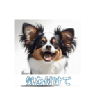 ペットの可愛いパピヨン（個別スタンプ：11）