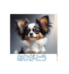 ペットの可愛いパピヨン（個別スタンプ：17）