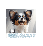 ペットの可愛いパピヨン（個別スタンプ：27）