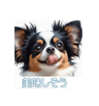 ペットの可愛いパピヨン（個別スタンプ：28）