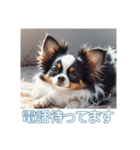 ペットの可愛いパピヨン（個別スタンプ：29）