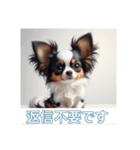 ペットの可愛いパピヨン（個別スタンプ：30）
