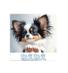 ペットの可愛いパピヨン（個別スタンプ：31）